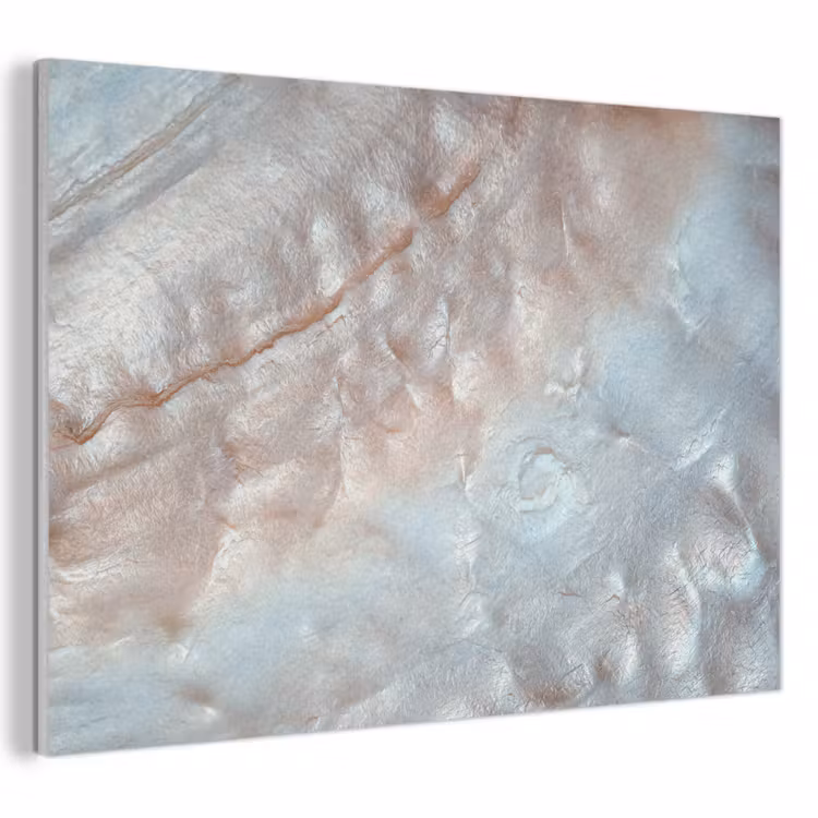 Akoestisch schilderij - Schelpen - Abstract - Natuur — 1