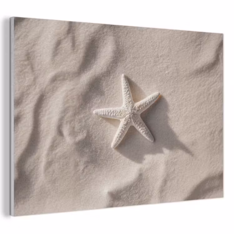 Akoestisch schilderij - Strand - Zeester - Zand - Beige — 1
