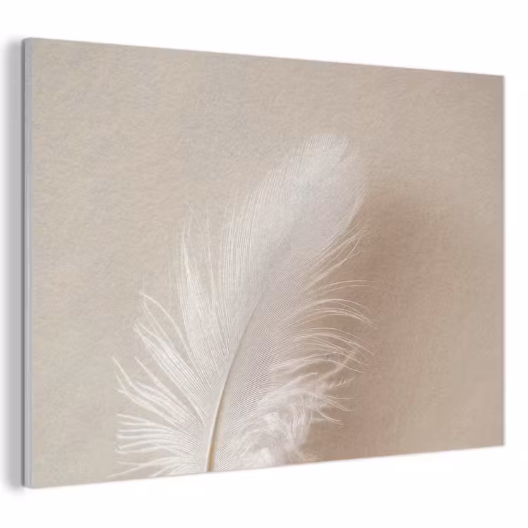 Akoestisch schilderij - Veer - Minimalistisch - Roze — 1