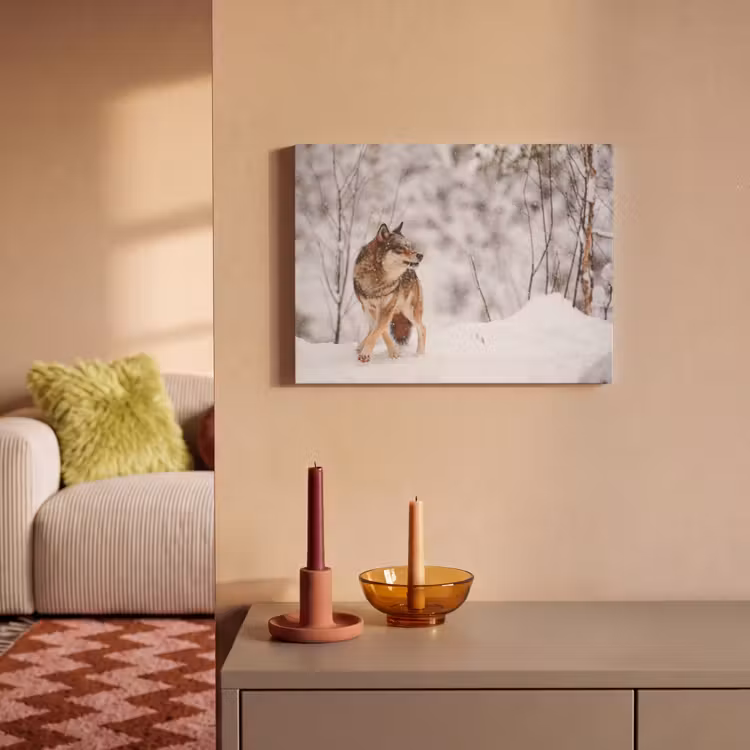 Akoestisch schilderij - Wolf - Winter - Sneeuw - Natuur - Dieren — 2
