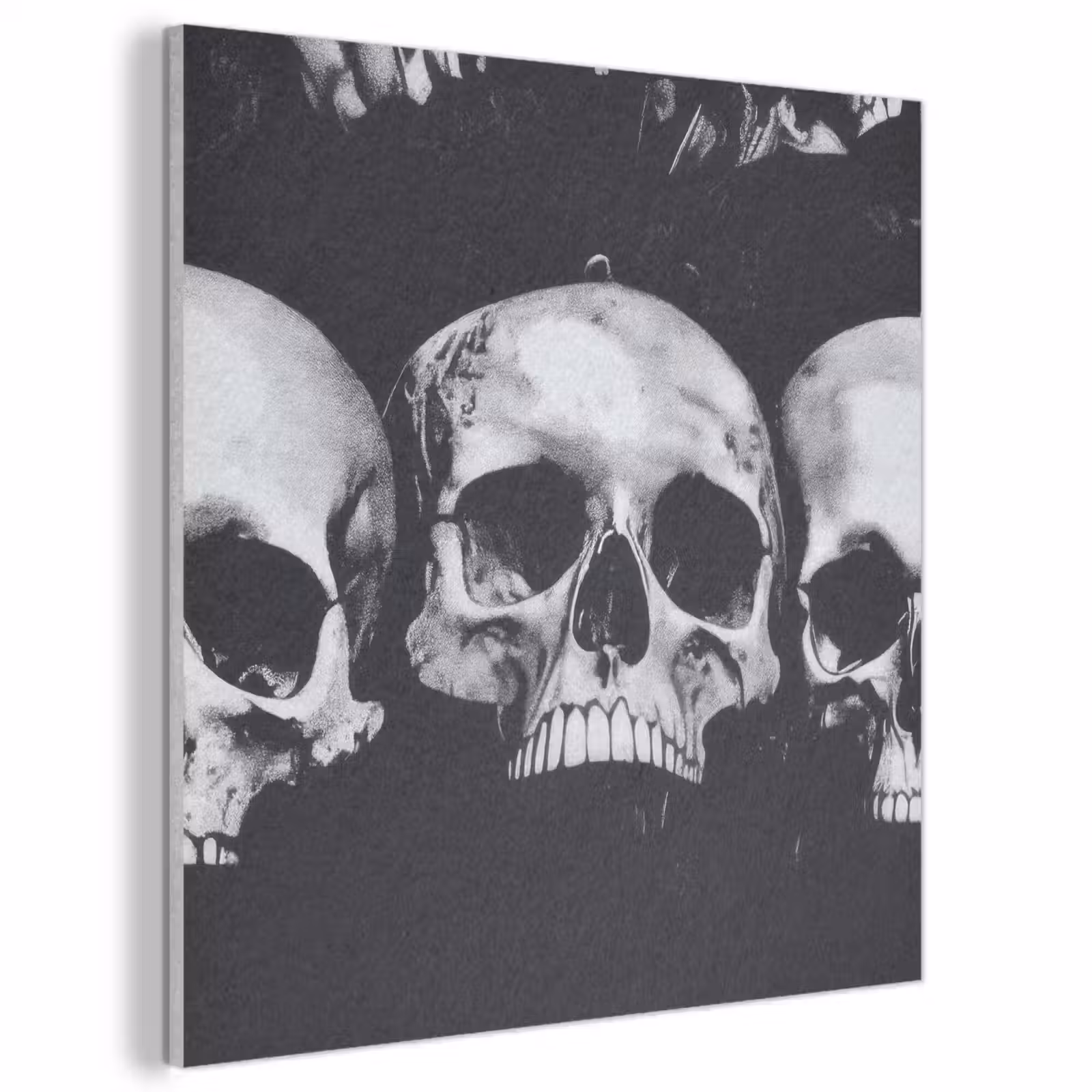Akoestisch schilderij - Schedels - Zwart - Contrast — 1