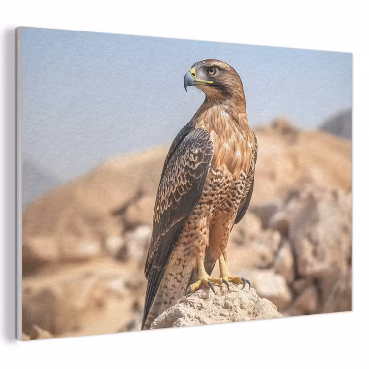 Akoestisch schilderij - Valk - Vogel - Rots - Macht — 1