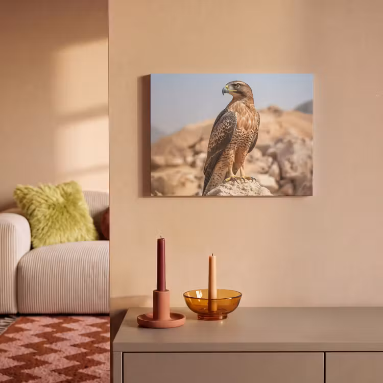 Akoestisch schilderij - Valk - Vogel - Rots - Macht — 2