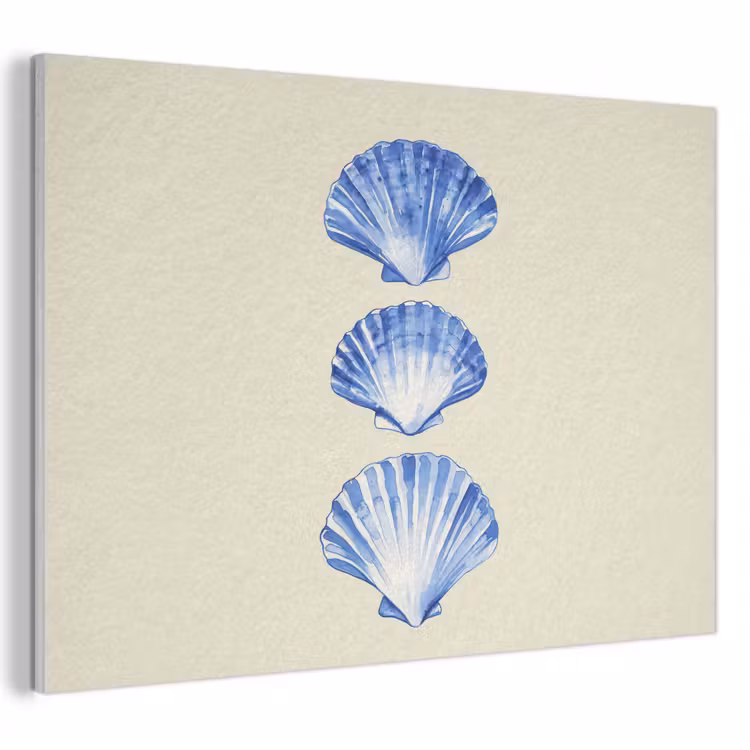Akoestisch schilderij - Schelpen - Blauw - Beige — 1