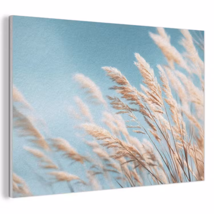 Akoestisch schilderij - Siergras - Wind - Lichtbruin — 1
