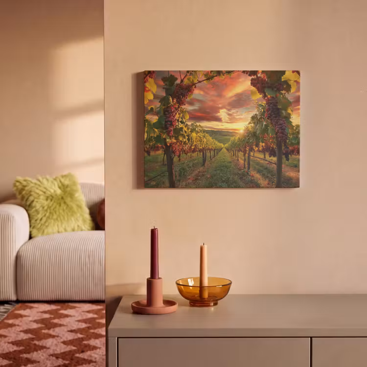 Akoestisch schilderij - Wijngaard - Druiven - Zonsondergang — 2