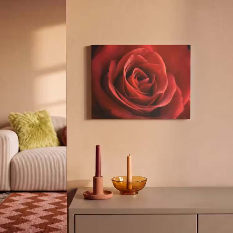 Akoestisch schilderij - Rood - Roos - Romantisch — 2