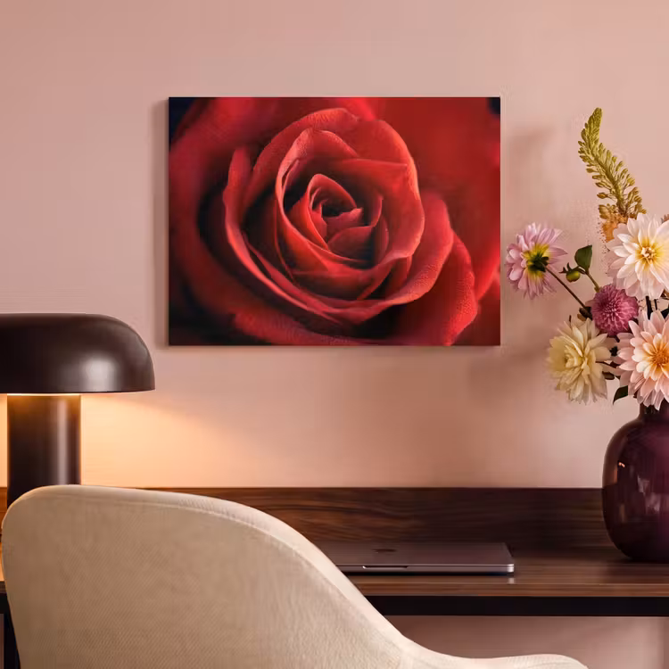 Akoestisch schilderij - Rood - Roos - Romantisch — 4