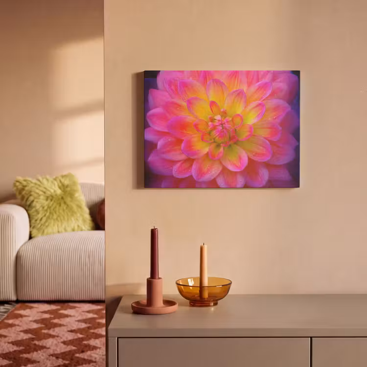 Akoestisch schilderij - Roze - Dahlia - Kleurrijk — 2