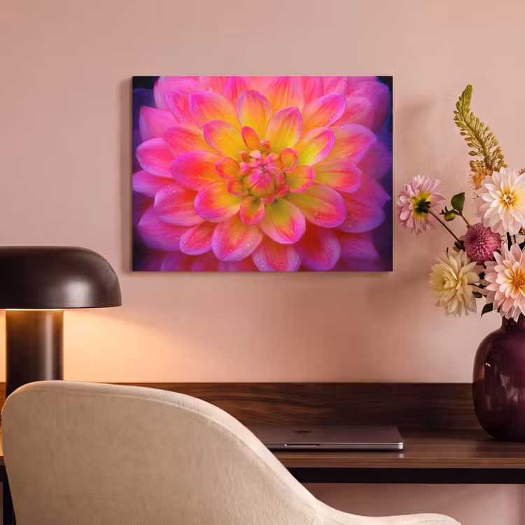 Akoestisch schilderij - Roze - Dahlia - Kleurrijk — 4