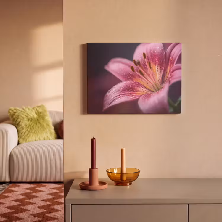 Akoestisch schilderij - Roze - lelie - Dauwdruppels — 2