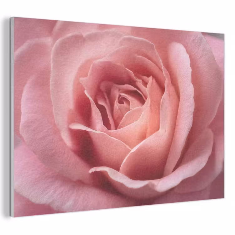Akoestisch schilderij - Roze - Roos - Romantisch — 1