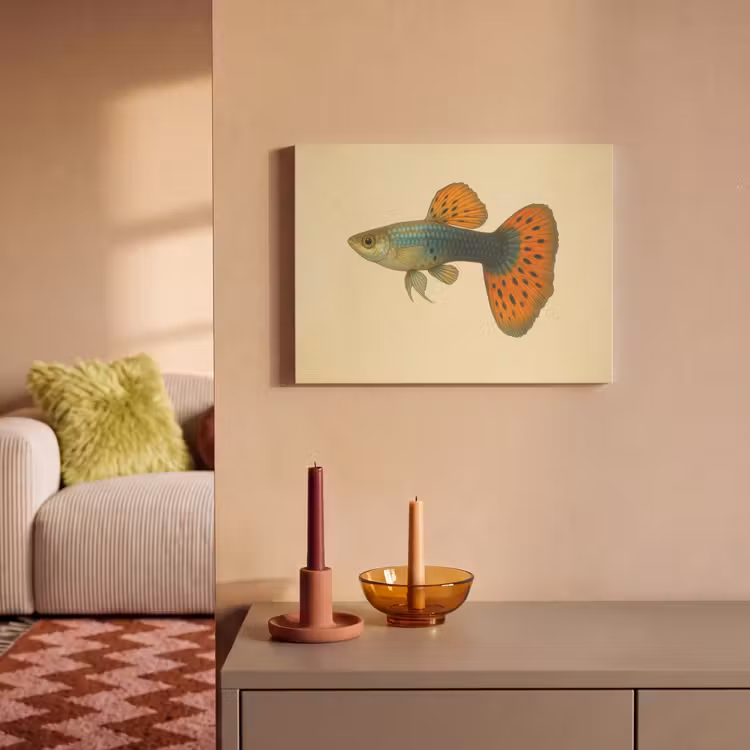 Akoestisch schilderij - Vis - illustratie - Stippen - Oranje — 2