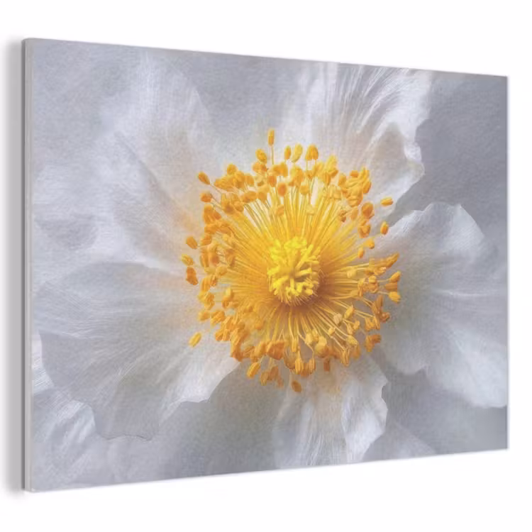 Akoestisch schilderij - Wit - Bloem - Elegant — 1