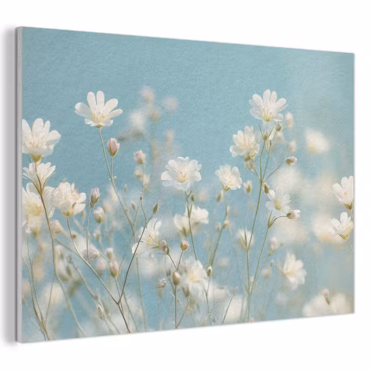 Akoestisch schilderij - Stengels - Bloemen - Lucht - Wit — 1