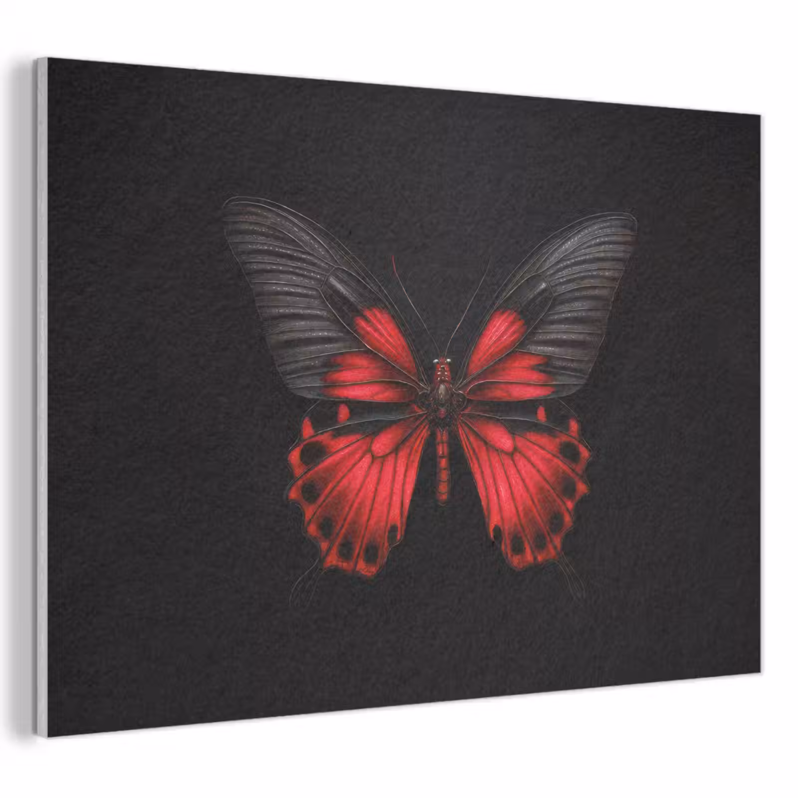 Akoestisch schilderij - Vlinder - Rood - Contrast — 1
