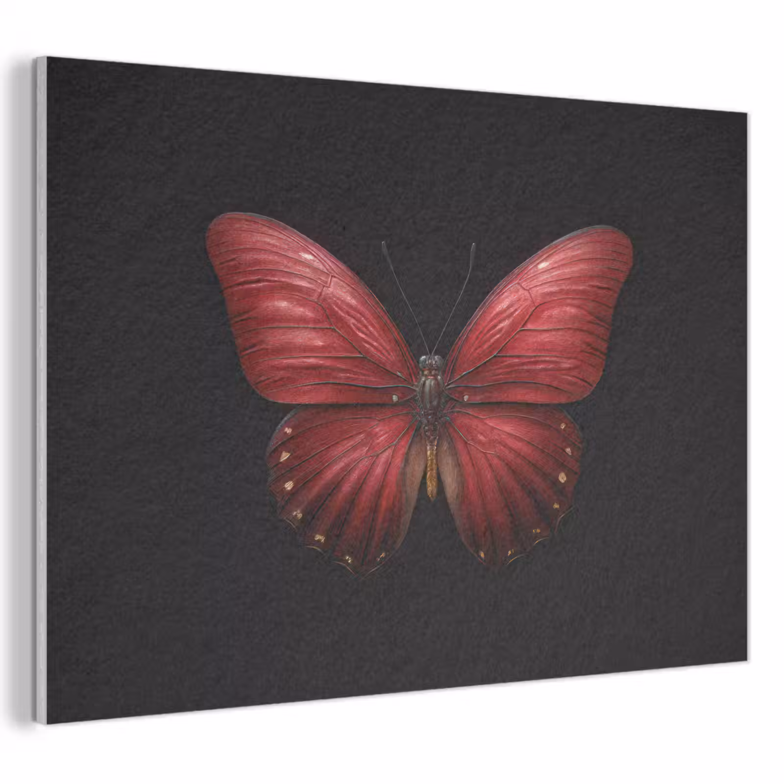 Akoestisch schilderij - Vlinder - Rood - Minimalistisch — 1