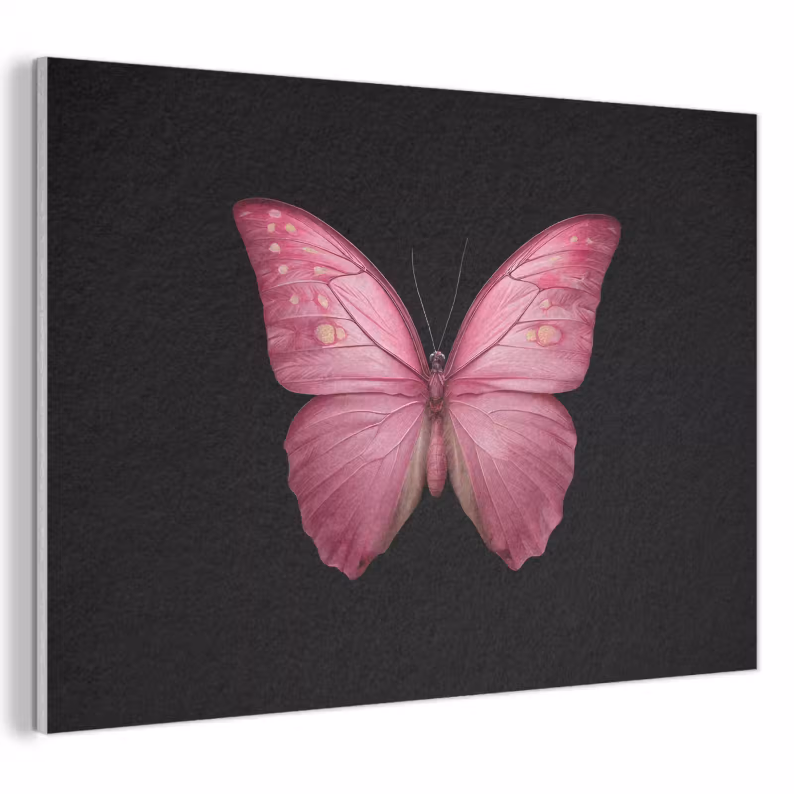 Akoestisch schilderij - Vlinder - roze - Elegant — 1