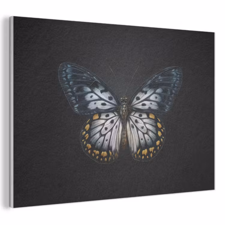 Akoestisch schilderij - Vlinder - Monochroom - Balans — 1