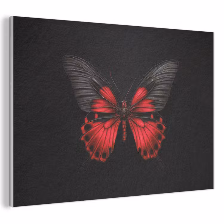 Akoestisch schilderij - Vlinder - Rood - Contrast — 1
