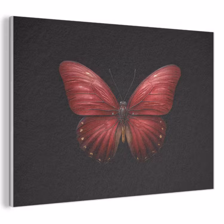 Akoestisch schilderij - Vlinder - Rood - Minimalistisch — 1