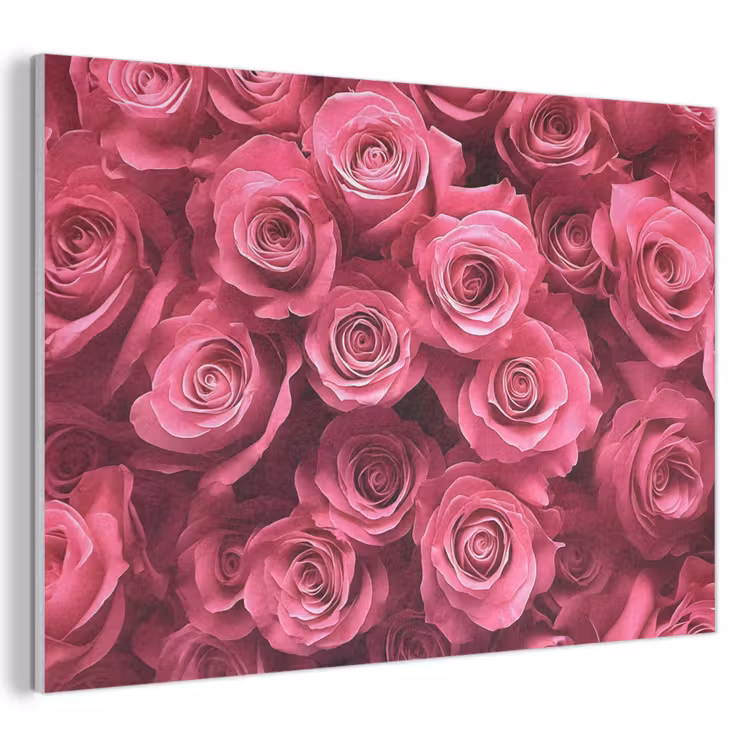 Akoestisch schilderij - Rozen - Pink - Bloem — 1