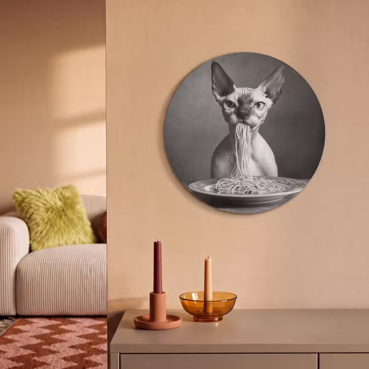 Akoestisch schilderij rond - Sphynx - Kat - Dieren - Humor - Spaghetti - Zwart Wit — 3