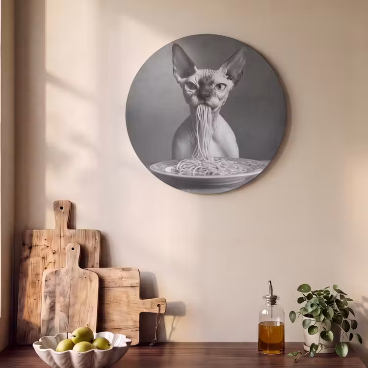 Akoestisch schilderij rond - Sphynx - Kat - Dieren - Humor - Spaghetti - Zwart Wit — 4