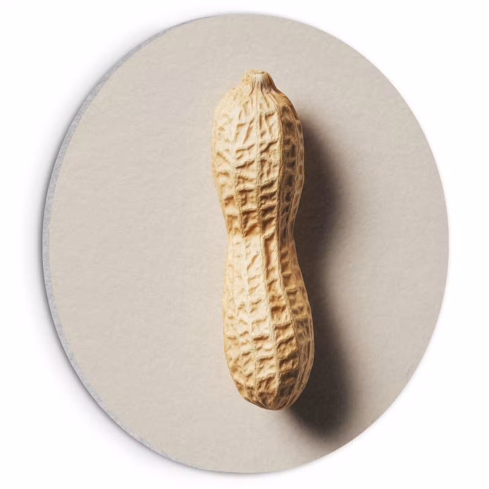 Akoestisch schilderij rond - Pinda - Ruw - Beige — 1