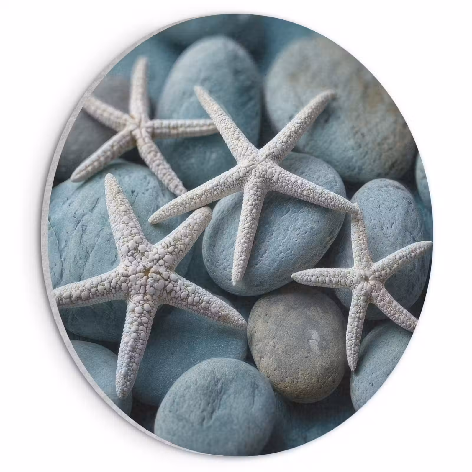 Akoestisch schilderij rond - Zeesterren - Stenen - Wit — 1