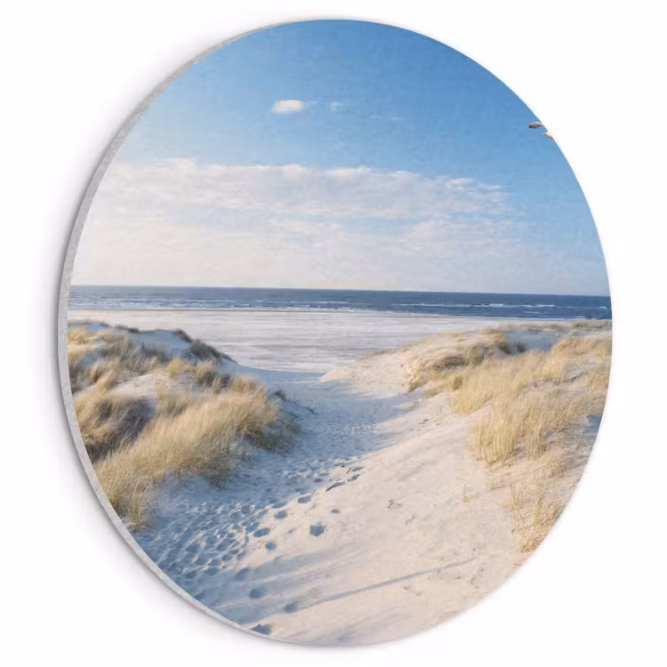 Akoestisch schilderij rond - Duin - Meeuw - Strand - Zee - Zon — 1