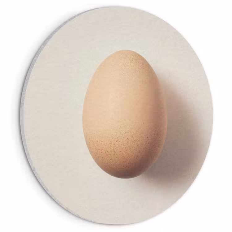 Akoestisch schilderij rond - Ei - Beige - Ovaal - Egaal — 1