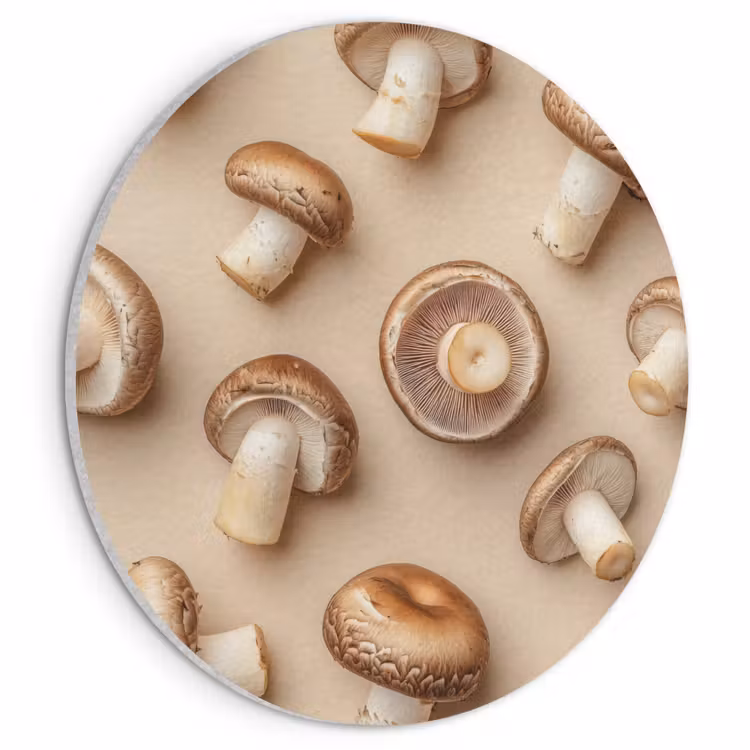 Akoestisch schilderij rond - Kastanje Champignons - Beige — 1