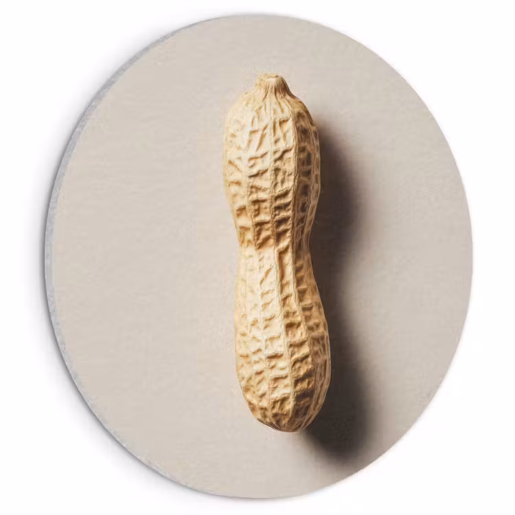 Akoestisch schilderij rond - Pinda - Ruw - Beige — 1