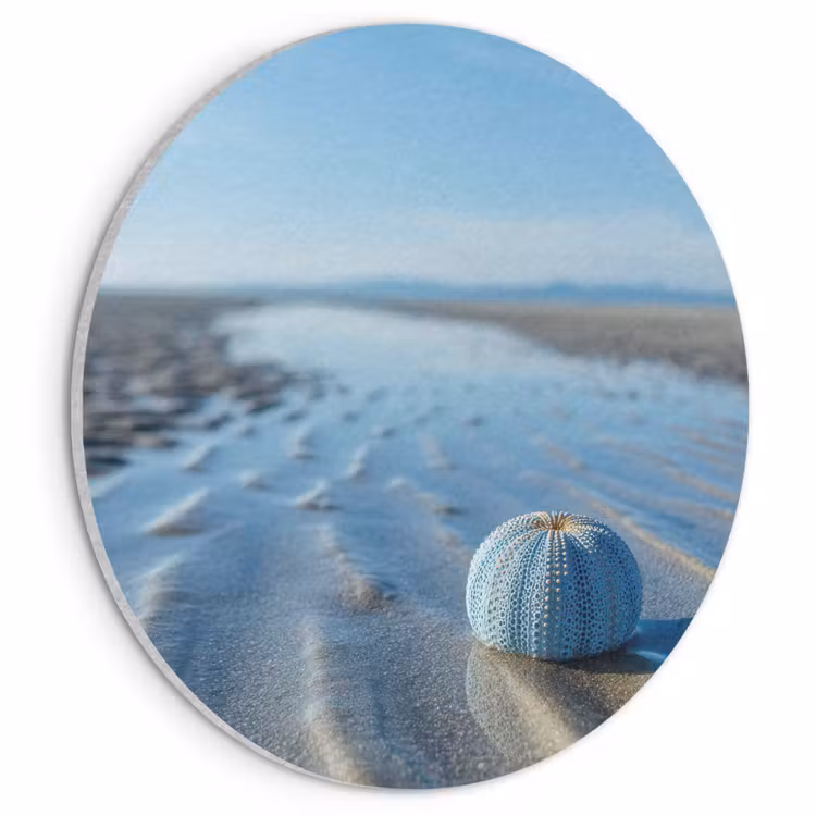 Akoestisch schilderij rond - Strand - Schild - Water - Blauw — 1