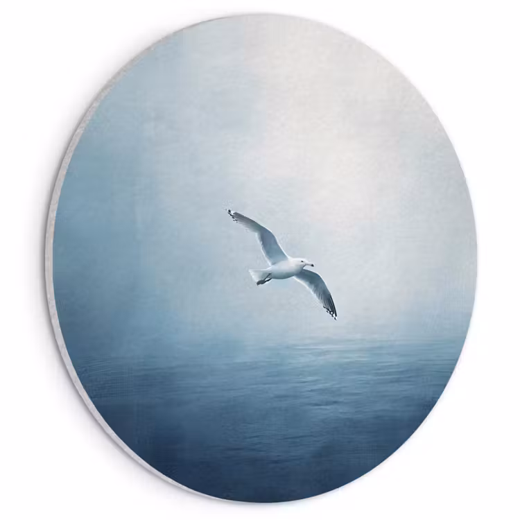 Akoestisch schilderij rond - Meeuw - Wit - Zee - Mistig — 1
