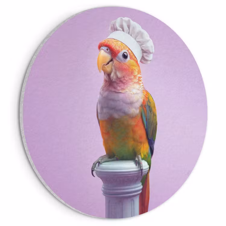 Akoestisch schilderij rond - Papegaai - Koksmuts - Pilaar - Vogel — 1