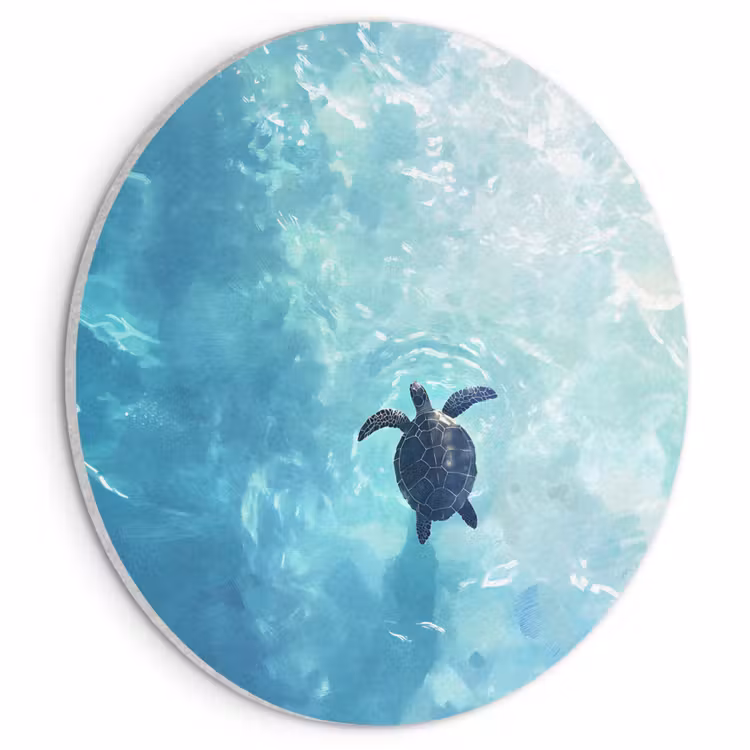 Akoestisch schilderij rond - Schildpad - Zee - Blauw - Schittering — 1
