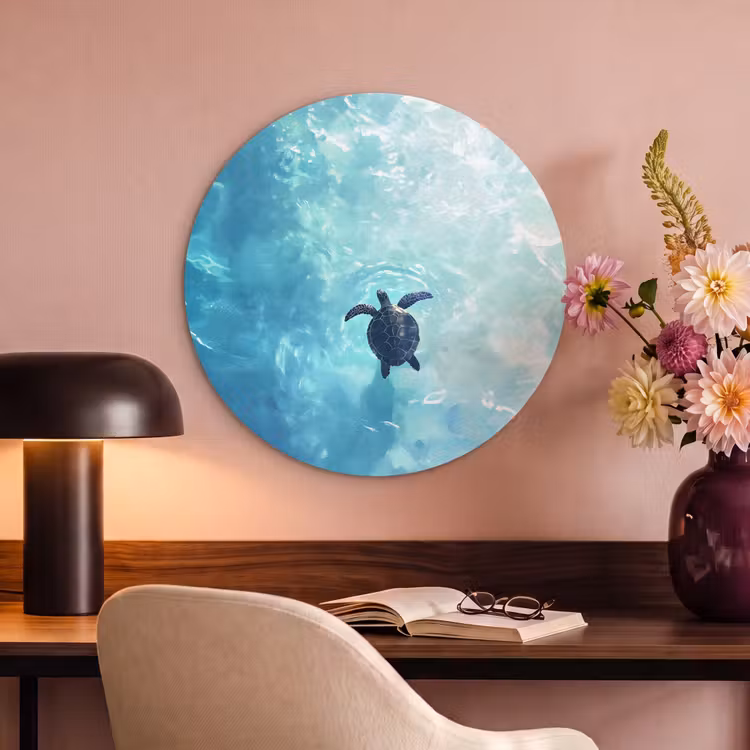 Akoestisch schilderij rond - Schildpad - Zee - Blauw - Schittering — 2