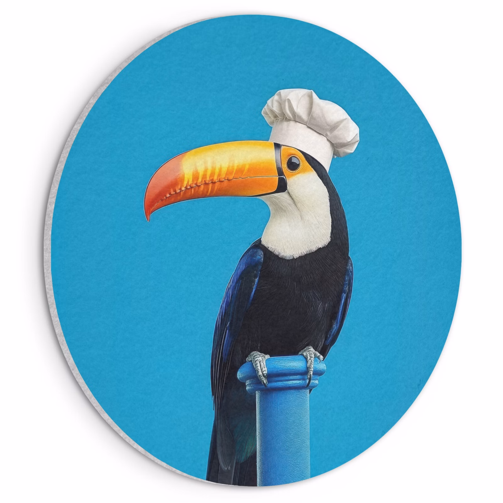 Akoestisch schilderij rond - Tucan - Sokkel - Vogel - Koksmuts — 1