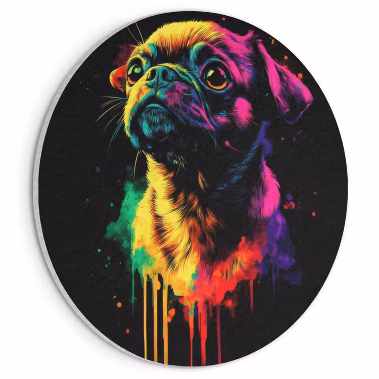 Akoestisch schilderij rond - Puck - Hond - Verf - Kleuren — 1