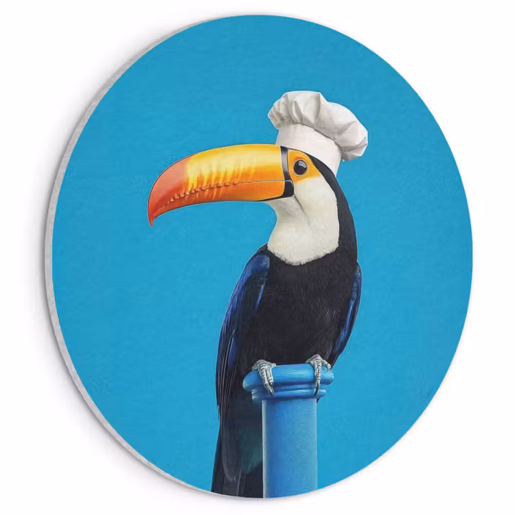Akoestisch schilderij rond - Tucan - Sokkel - Vogel - Koksmuts — 1