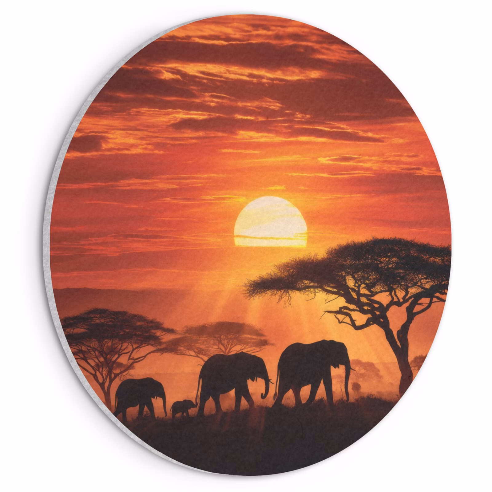 Akoestisch schilderij rond - Savanne - Olifanten - Zonsondergang — 1