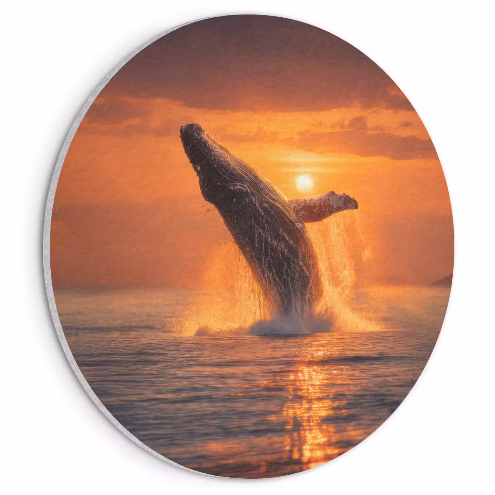 Akoestisch schilderij rond - Walvis - Zon - Zee — 1
