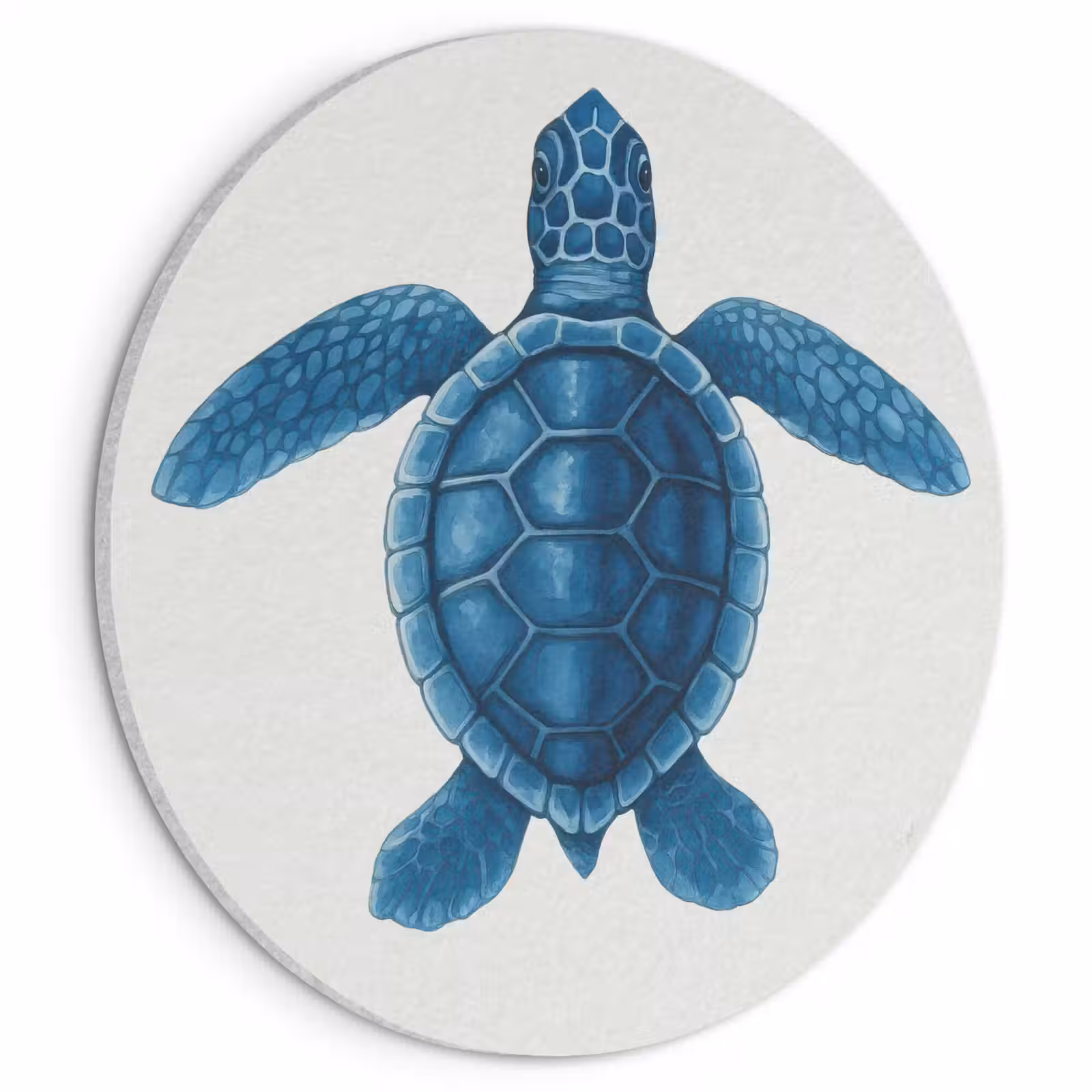Akoestisch schilderij rond - Schildpad - Blauw - Schild — 1
