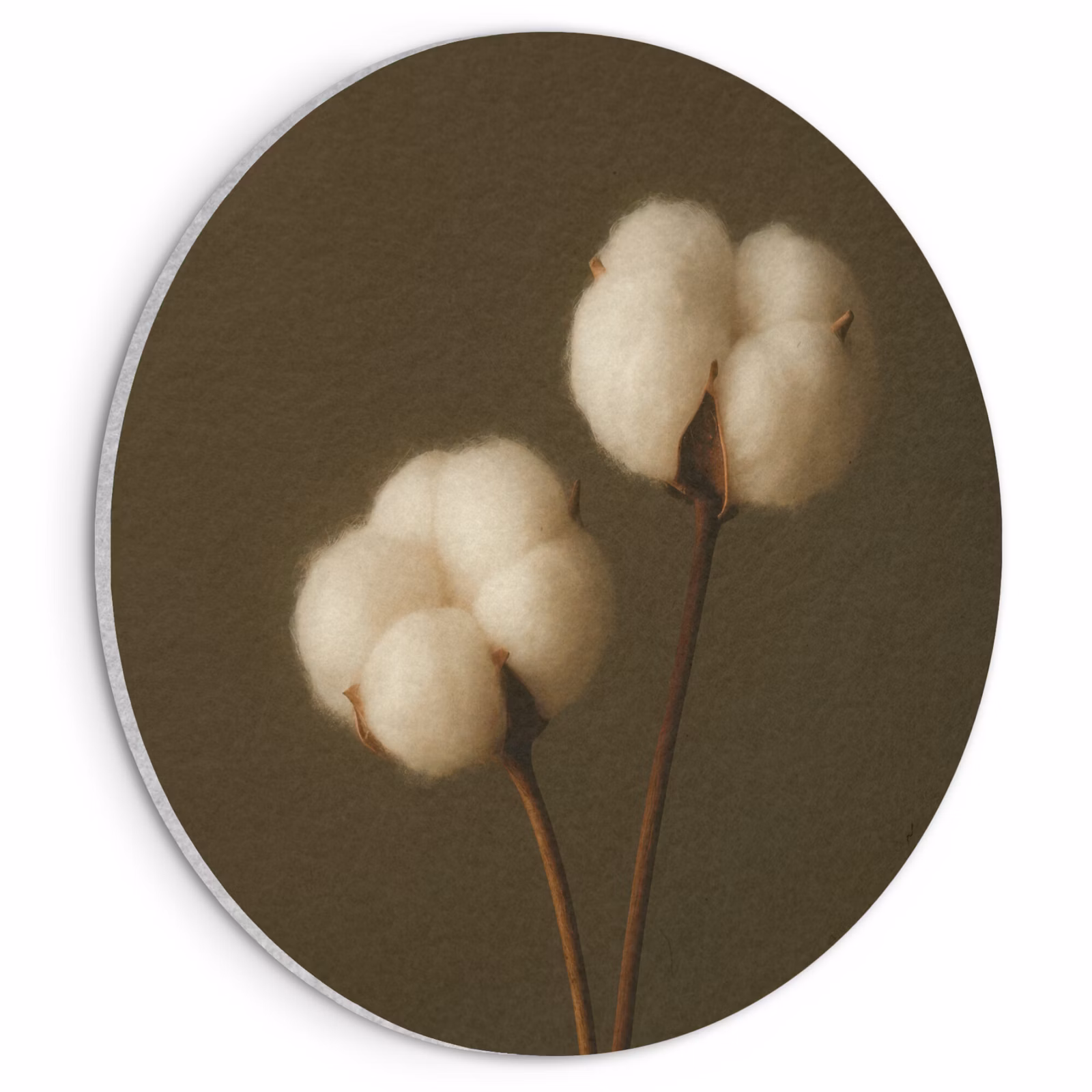 Akoestisch schilderij rond - Takken - Katoen - Wit - Bollen — 1