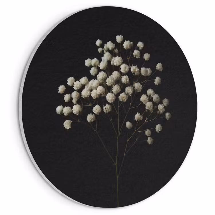 Akoestisch schilderij rond - Gipskruid - Bloemetjes - Wit - Minimalistisch — 1