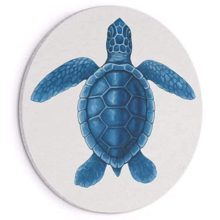 Akoestisch schilderij rond - Schildpad - Blauw - Schild — 1