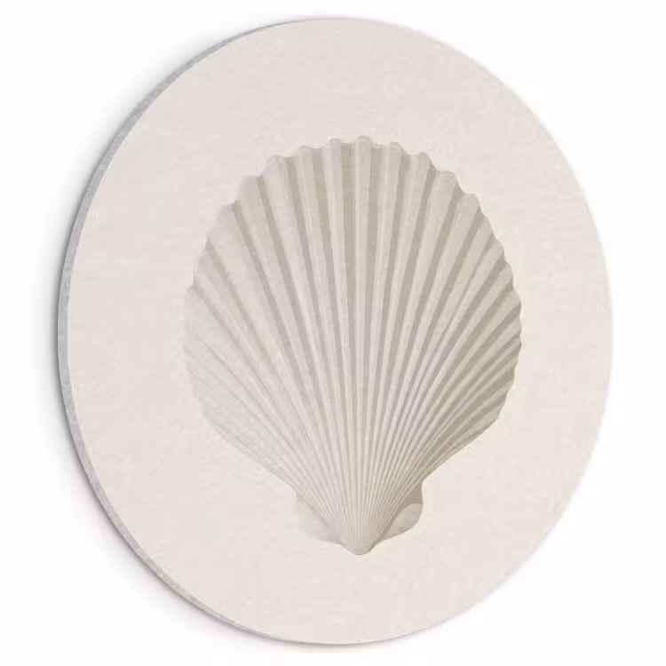 Akoestisch schilderij rond - Schelp - Minimalistisch - Wit — 1
