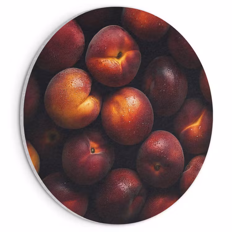 Akoestisch schilderij rond - Fruit - Close up - Nectarines — 1